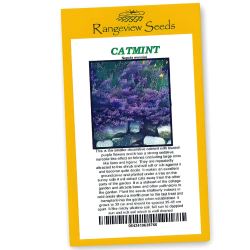 Catmint (Nepeta Mussini) - Rangeview Seeds
