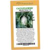 Cauliflower Range 174 - Rangeview Seeds