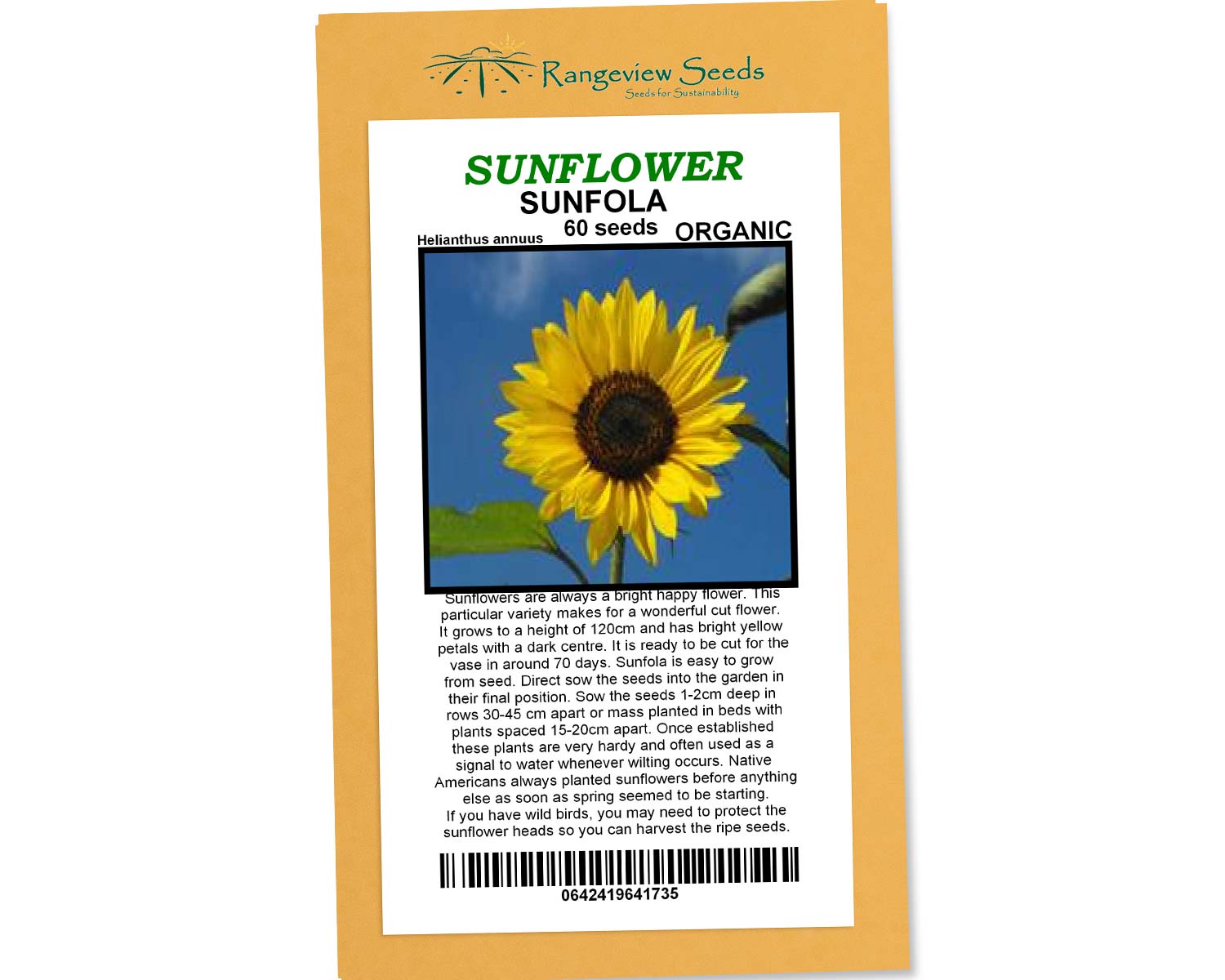 Sunflower Sunfola - Rangeview Seeds