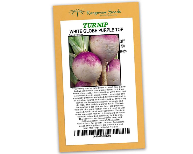 Turnip Purple Top White Globe - Rangeview Seeds