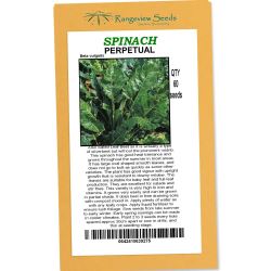 Spinach Perpetual - Rangeview Seeds