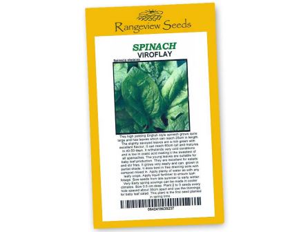 Spinach Viroflay - Rangeview Seeds