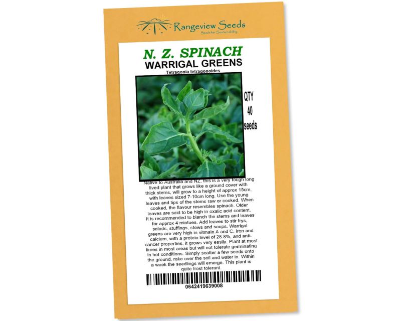 New Zealand Spinach Warrigal Greens - Rangeview Seeds