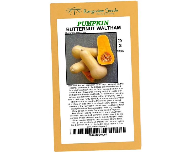 Pumpkin Butternut Waltham - Rangeview Seeds