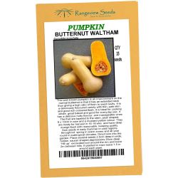 Pumpkin Butternut Waltham - Rangeview Seeds