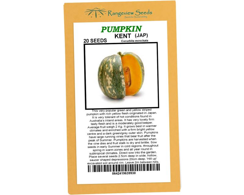 Pumpkin Kent - Rangeview Seeds