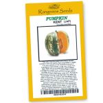 Pumpkin Kent - Rangeview Seeds
