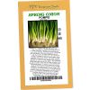 Spring onion Pompei - Rangeview Seeds