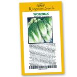 Wombok (Chinese Cabbage) - Rangeview Seeds