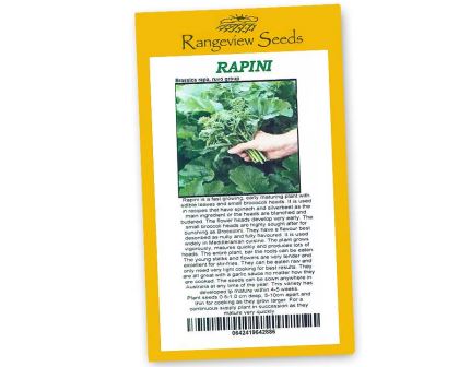 Rapini (Brassica rapa nuvo group) - Rangeview Seeds