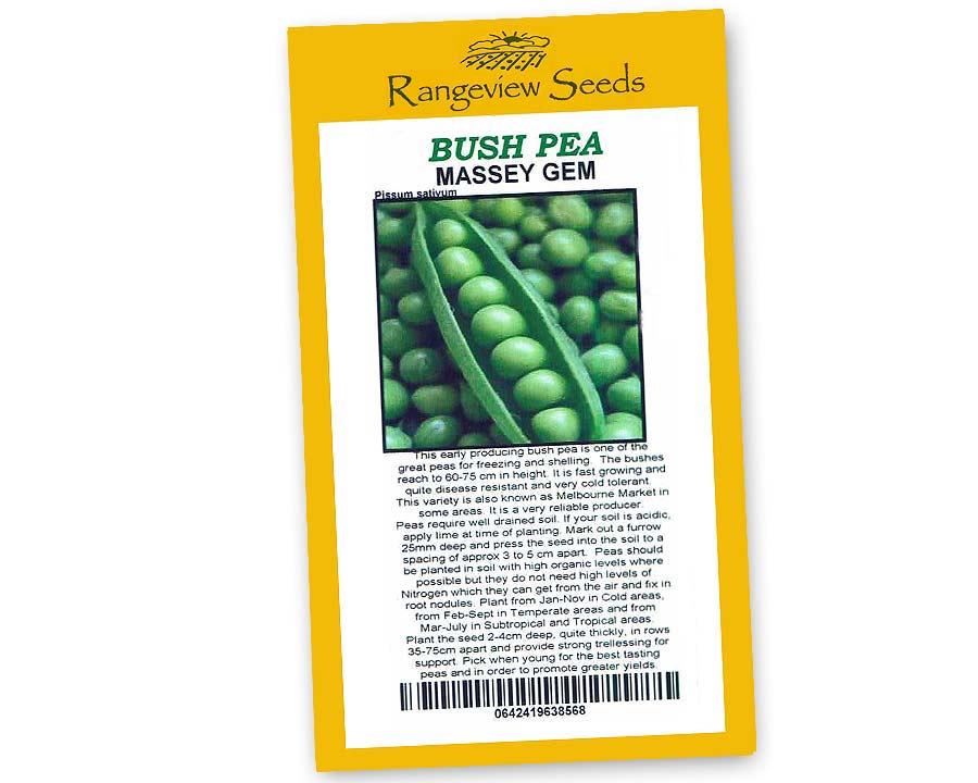 Peas (Bush Pea) Massey Gem - Rangeview Seeds
