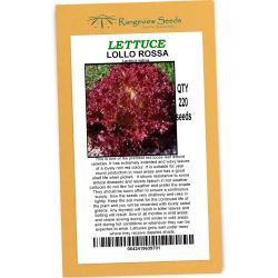 Lettuce Lollo Rossa - Rangeview Seeds
