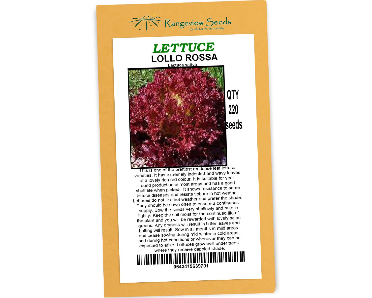 Lettuce Lollo Rossa-  Rangeview Seeds
