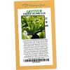 Lettuce Parris Island Cos - Rangeview seeds