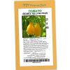 Tomato Beam's Yellow Pear - Rangeview Seeds