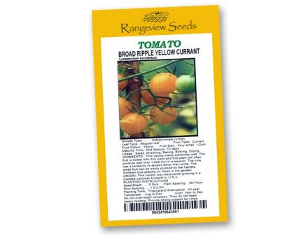 Tomato Broad Ripple Yellow Currant - Rangeview Seeds