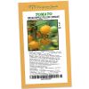 Tomato Broad Ripple Yellow Currant - Rangeview Seeds