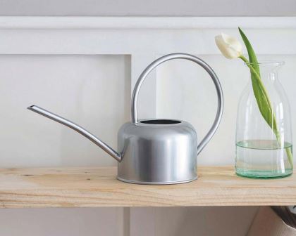 Indoor Watering Can 1.1 litres - Silver Finish