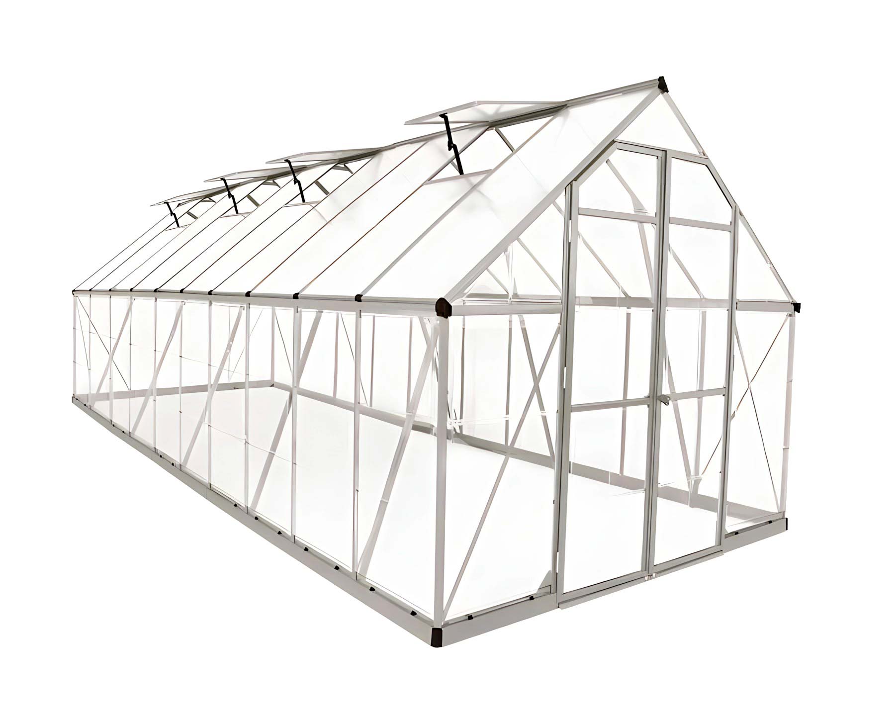 8x20 WalkIn Tall Greenhouse (244 x 607 x 229cm)