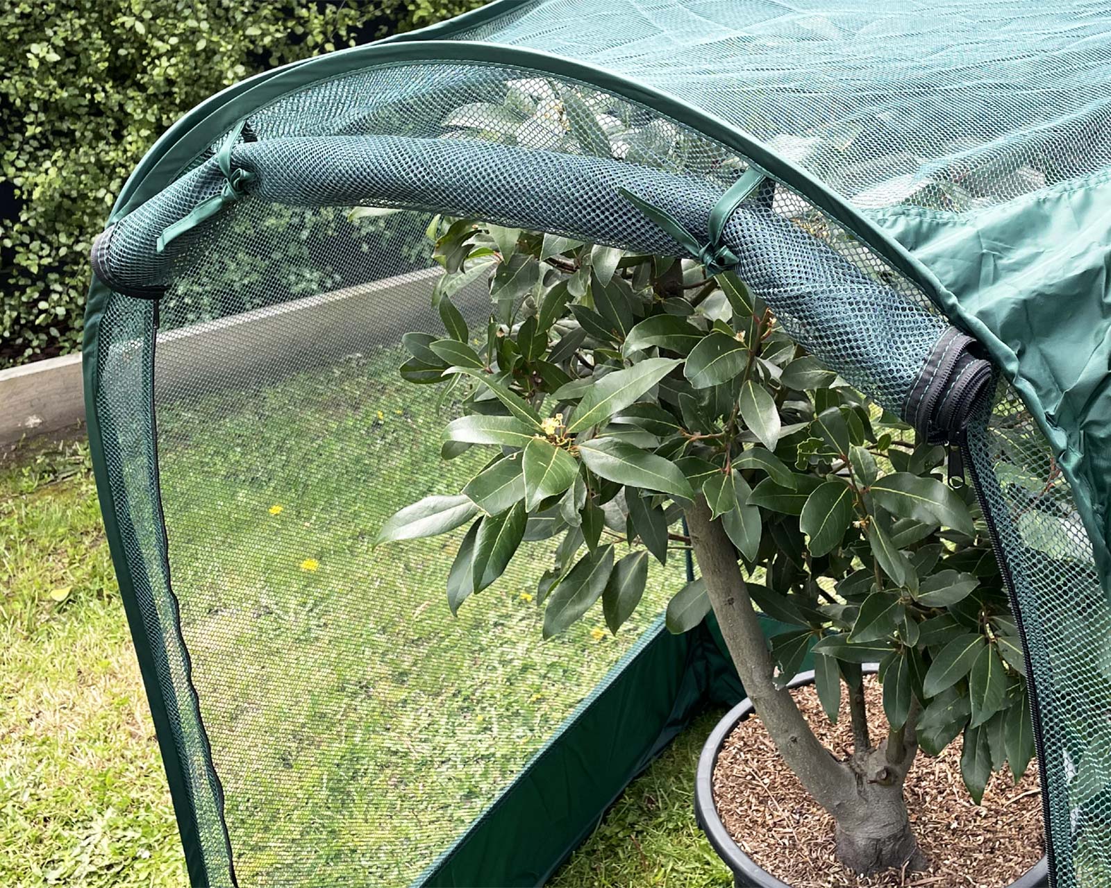 Pop Up Net Plant Cover - Easy to open zipped door makes it easy to tend to your plants and protect them when you have finished