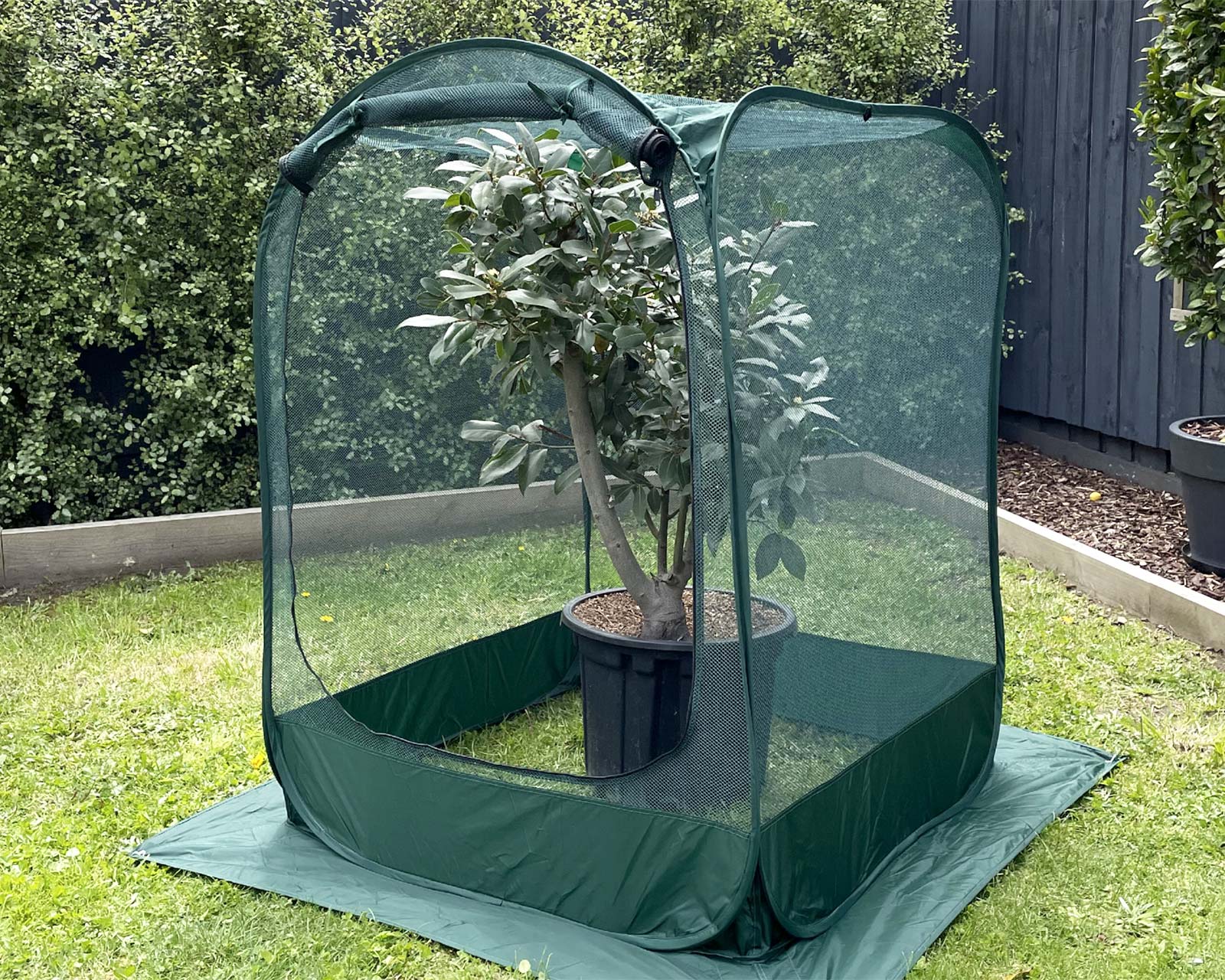 Pop Up Net Plant cover 1x1x1.25 - tall enough to protect taller plants