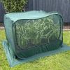 Net Plant pop-up cover - neat and easy way to protect your plants