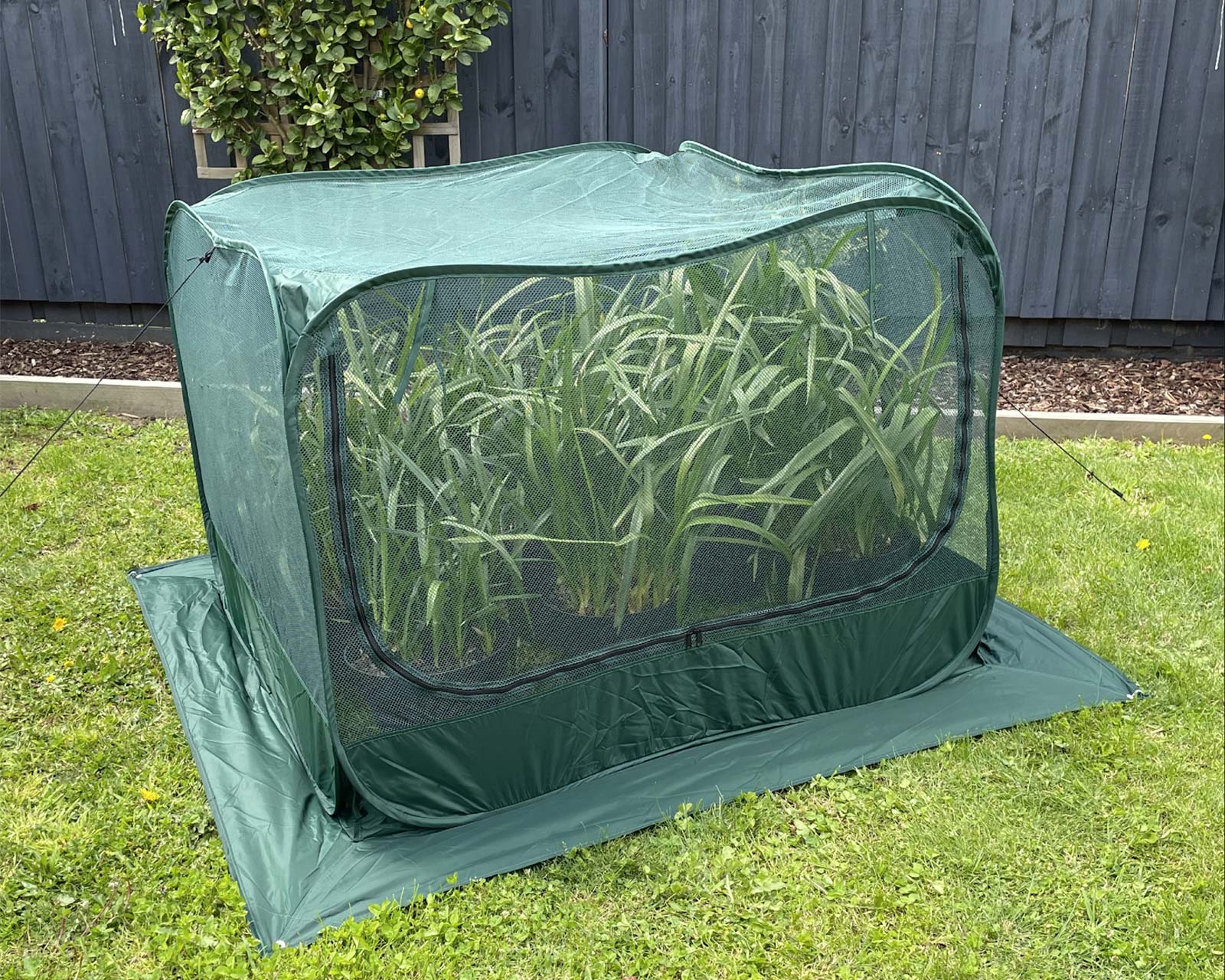Net Plant pop-up cover - neat and easy way to protect your plants