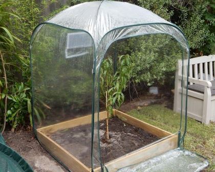 Poly Plant Cover 1 x 1 x 1.6m