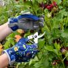 RHS Gloves - part of the Burgon and Ball British Meadow range of garden tools and accessories