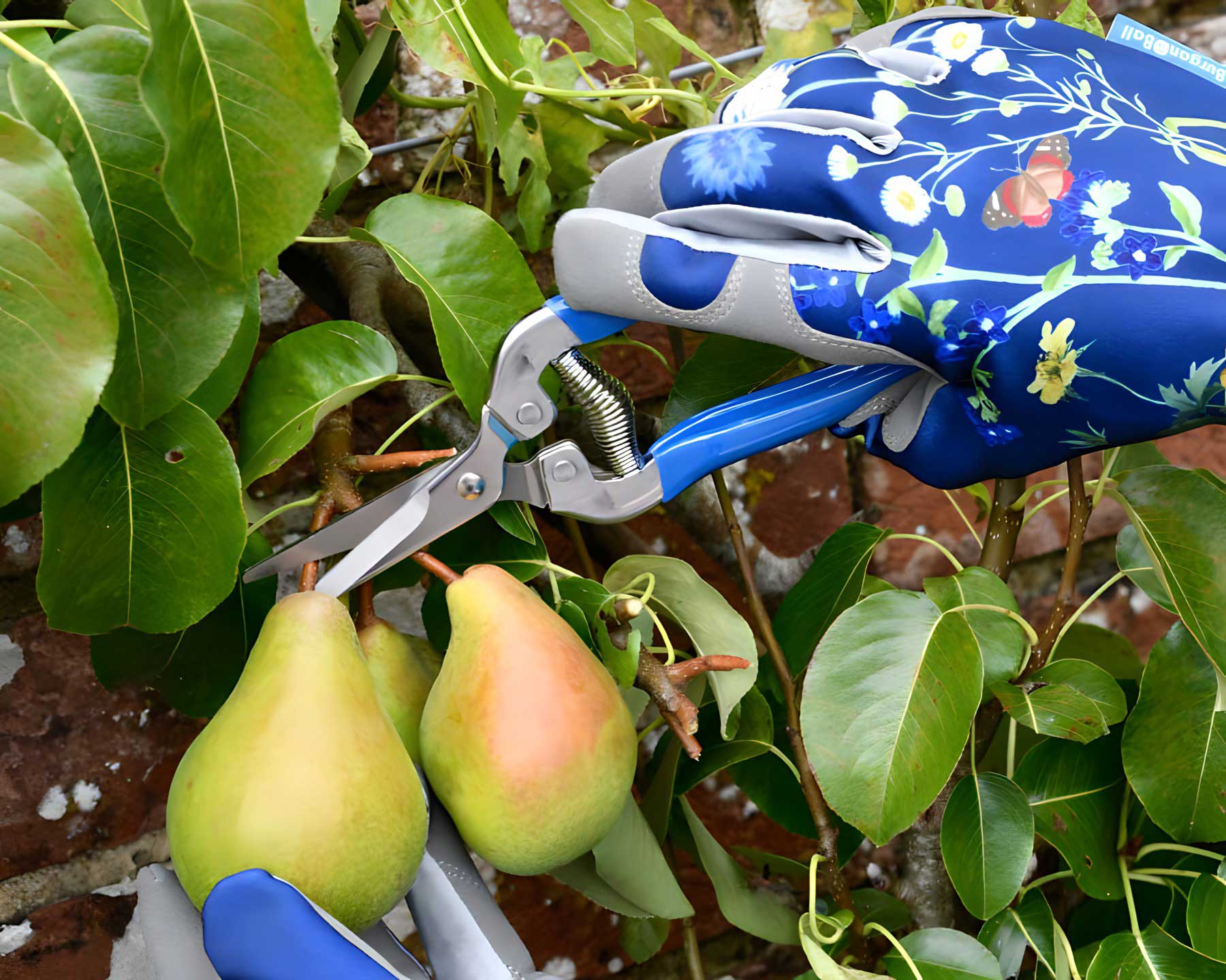 Garden Snips - part of the Burgon and Ball British Meadow range of garden tools and accessories