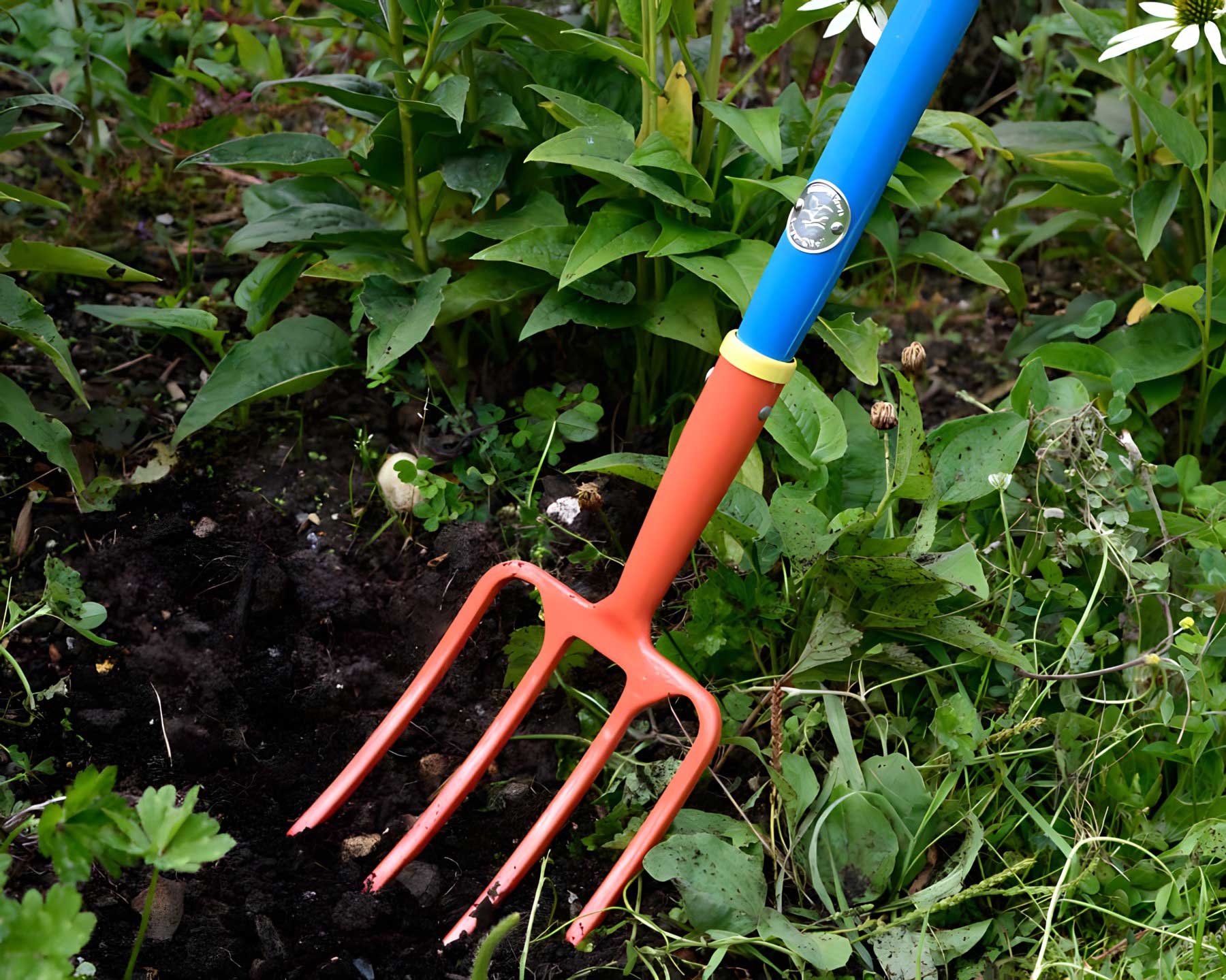 Children's Digging Fork part of the 'Get me Gardening' range by the National Trust
