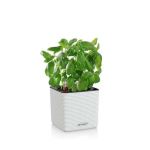 Puro Cube Color 14 - Self-Watering Pot