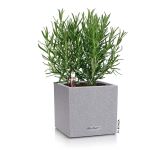 Canto Stone 14 Cube - Self-Watering Pot