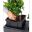 Assembly - Trio Cottage 30 - Self-Watering Planter -Lechuza
