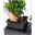 Assembly -Trio Cottage 40 - Self-Watering Planter - Lechuza