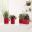 High Gloss Scarlett Red - Glossy Cube Triple - Self-Watering Pot - Lechuza