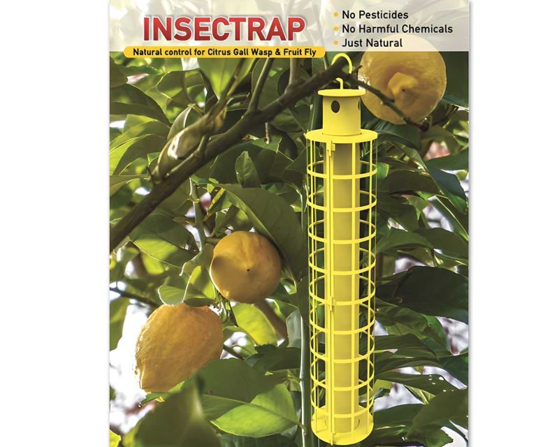 Insectrap with barrier - a natural way to protect your fruit trees from gall wasp and fruit flies