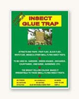 Insect Glue Traps