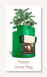 Bloombagz -Potato Bag