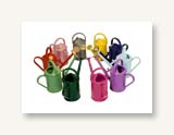 Heritage 1l plastic watering can