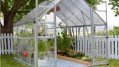 Greenhouse Walk-In 8'x8' (244cm x 247cm x 229cm)