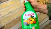 Pest Oil Insect Control Spray - Yates