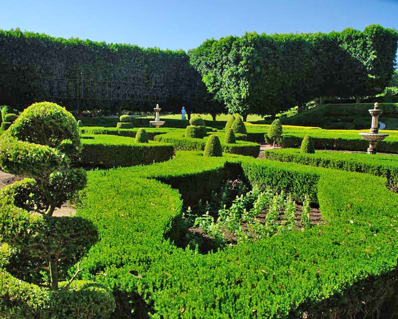 Parterre garden - Hunter Valley Gardens