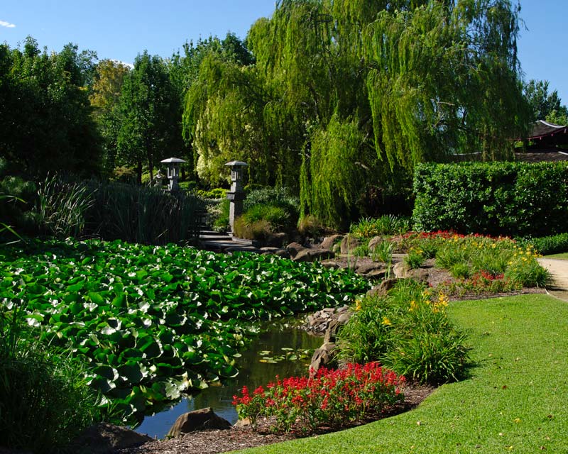 Lakes walks - Hunter Valley Gardens
