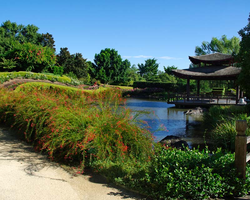 Walks around Oriental Garden lake - Hunter Valley Gardens