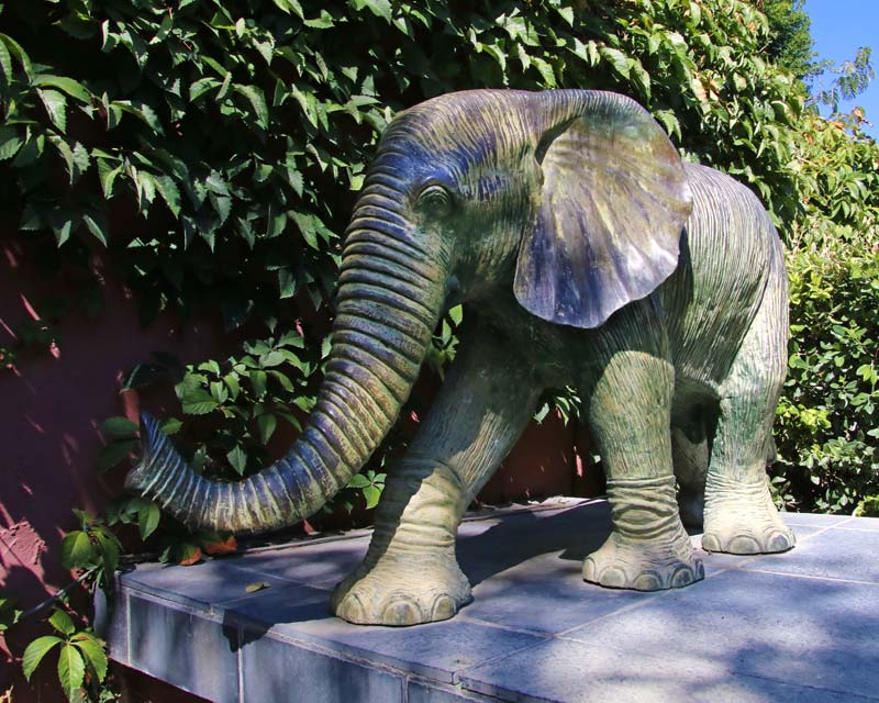 Pair of striking Elephants at entrance to Indian Garden at Hunter Valley Gardens