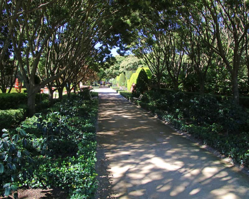 Plenty of shady walks at Hunter Valley Gardens
