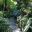 Boardwalk - Lower Rainforest Australian National Botanic Gardens