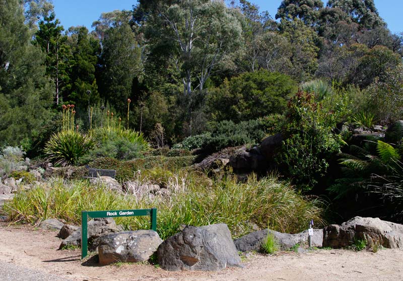 Australian National Botanic Gardens The Rock Garden contains many smaller native shrubs