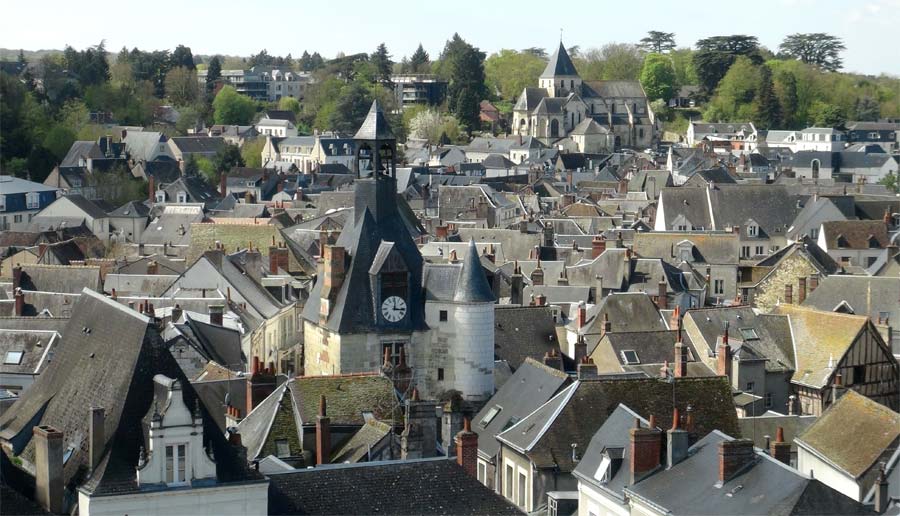 The view from the gardens across Amboise rooftops.